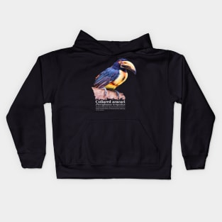 Collared aracari tropical bird white text Kids Hoodie